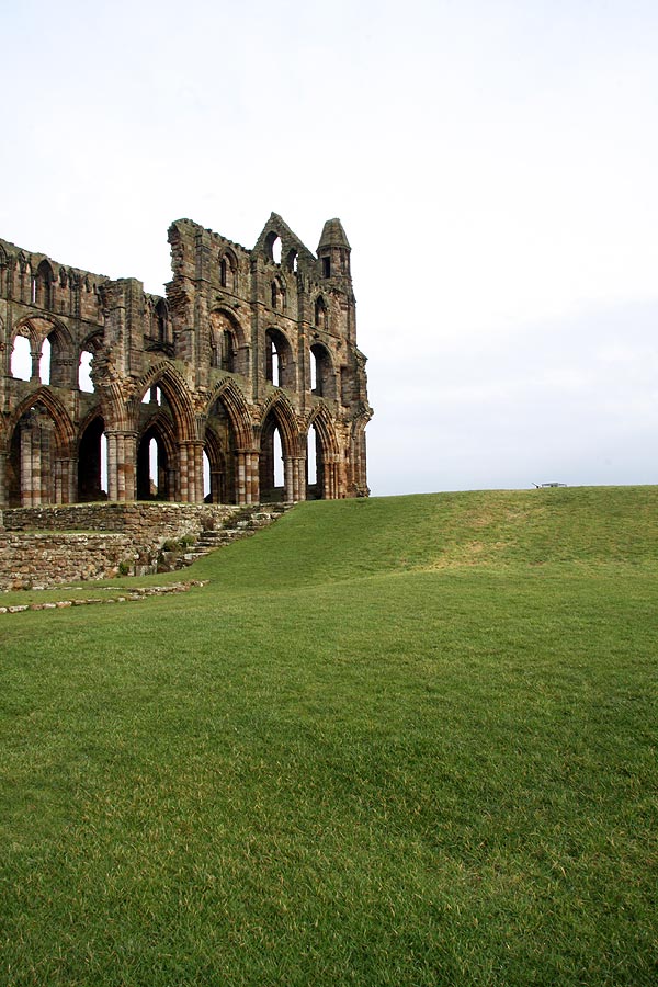 Whitby Abbey on green grass