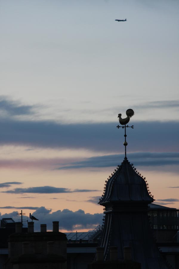 Flying things in Leith